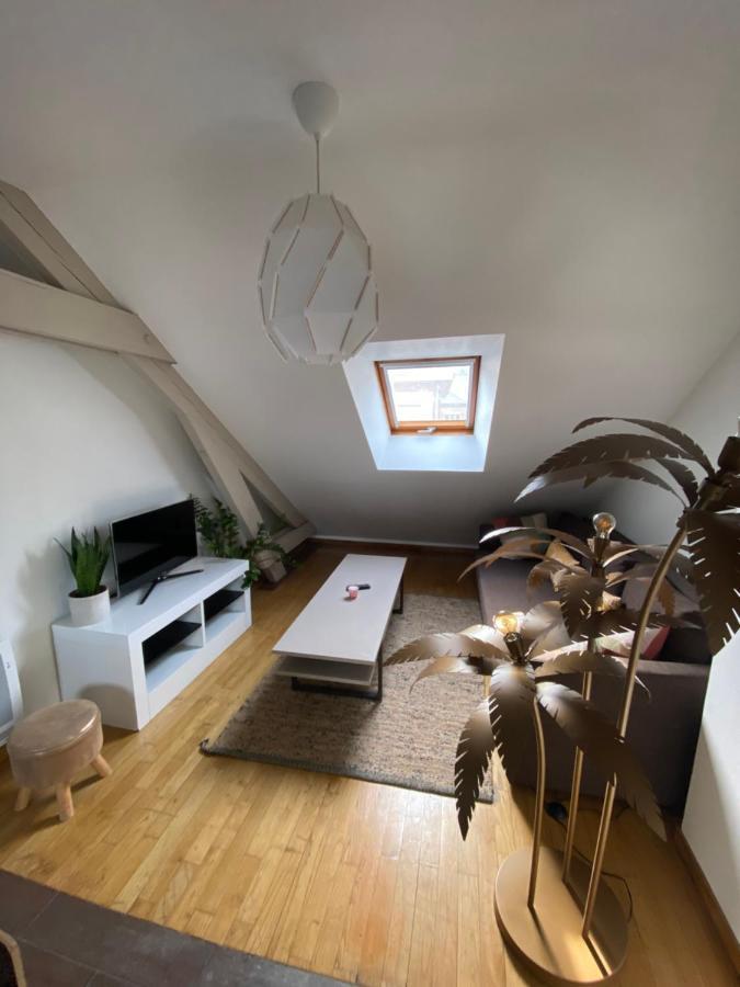 Appartement Hyper Centre Cathedrale Avec Parking Gratuit Amiens Kültér fotó